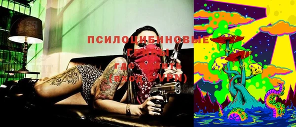 2c-b Верхний Тагил