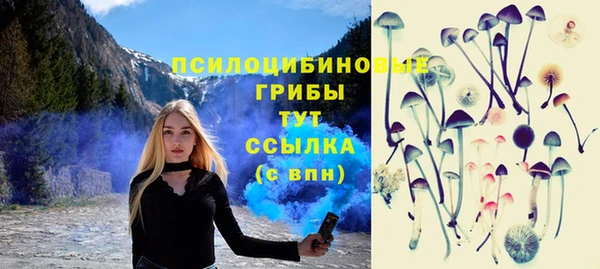 2c-b Верхний Тагил