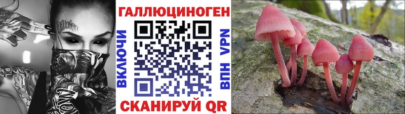 где купить наркоту  МЕГА tor  Псилоцибиновые грибы ЛСД  Горячий Ключ 