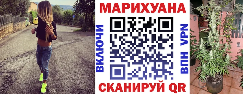 Шишки марихуана планчик  Горячий Ключ 